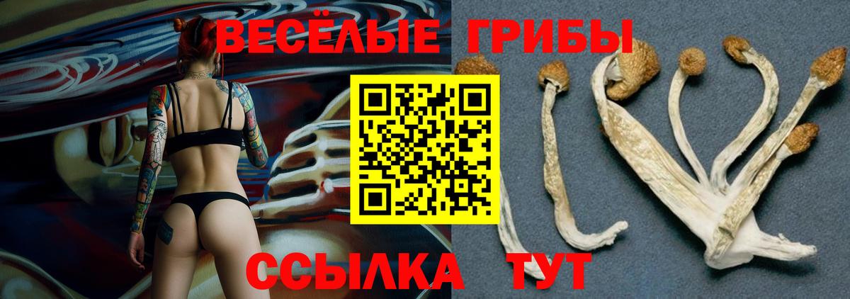 Псилоцибиновые грибы мицелий  Вход с VPN  Коркино 